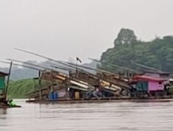 Marak PETI di Sanggau AP dan AG Diduga Kebal Hukum, APH Diminta Bertindak