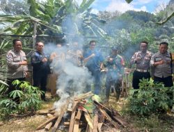 Polsek Tumbang Titi Bubarkan Lokasi Judi Sabung Ayam
