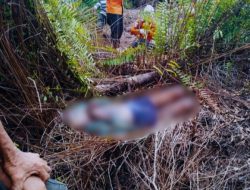 Hilang 2 Hari, Lansia 91 tahun Ditemukan Tak Bernyawa di Kebun