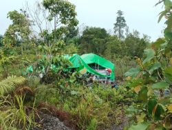 Soroti PETI di Sekayam Sanggau Lawyer Muda Minta Kapolda Kalbar Bertindak