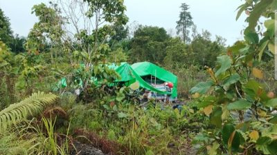 Soroti PETI di Sekayam Sanggau Lawyer Muda Minta Kapolda Kalbar Bertindak