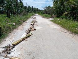 Tanpa Menunggu dari PemerintaMasyarakat Gotong Royong Menambal Jalan Songban Hingga Sungai Pangkalan.