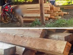 BP3K-RI Kalimantan Barat Desak APH Tindak Tegas Dugaan Pengolahan Kayu Ilegal di Bengkayang