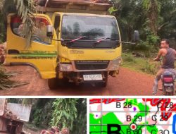 Warga Desa Lubuk Tapang desak Aph Bertindak Tegas, PT HPI Diduga Nekat Panen di Lahan Bersengketa