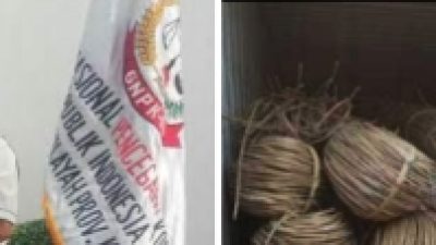 GNPK RI Desak Aparat Ungkap Aktor Utama Kasus Penyelundupan Rotan Ilegal