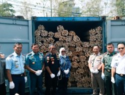 Ungkap Penyelundupan Rotan Ilegal Rp2,9 Miliar, Bea Cukai Kalbar Tanpa Tersangka