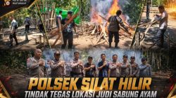 Tanpa Kompromi, Polsek Silat Hilir Obrak Abrik Lokasi Judi Sabung Ayam di Dusun Keranji