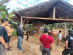 Polres Kubu Raya Selidiki Legalitas Sawmill Pengolahan Kayu di Sungai Ambawang