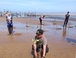 Kabag SDM Polres Ketapang dan Polsek Benua Kayong, Tanam Bibit Mangrove