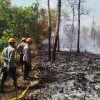 Brimob Polda Kalbar Padamkan Bara Karhutla di Kubu Raya