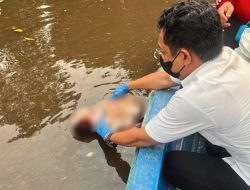 Polres Kubu Raya Buru,  Pelaku Pembuang Jasad Bayi di Sungai 