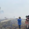 Karhutla 1,5 Hektare di Pelang Ketapang Dipadamkan Tim Gabungan