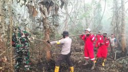 Karhutla Bakar Lahan Warga, 1.800 Hektare Kebun PT NJP Disebut Masih Aman