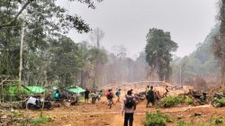PETI Masuk Kawasan Konservasi, 2 Pondok di Gunung Asuansang Dibongkar Polisi