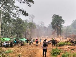 PETI Masuk Kawasan Konservasi, 2 Pondok di Gunung Asuansang Dibongkar Polisi